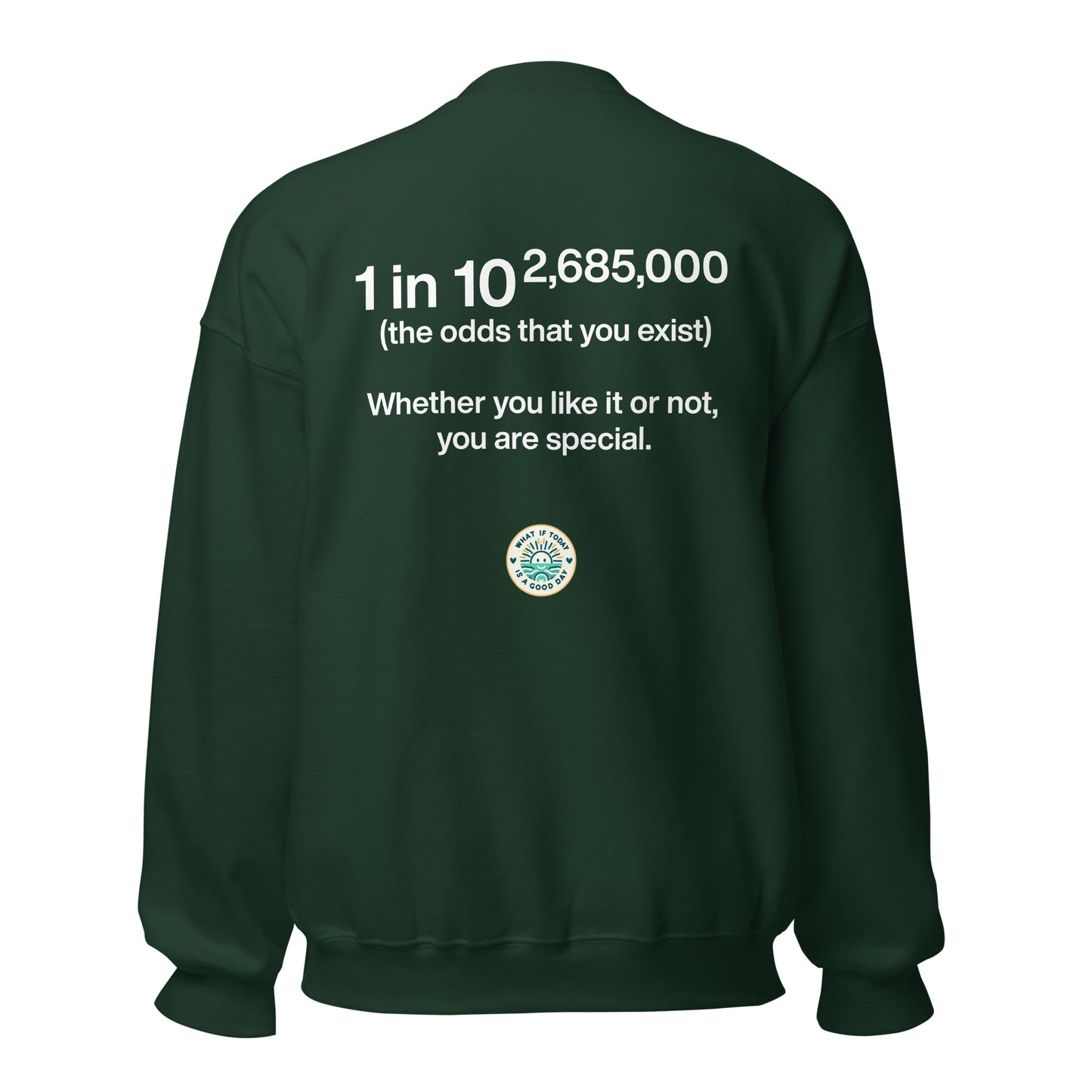Statistic Sweatshirt