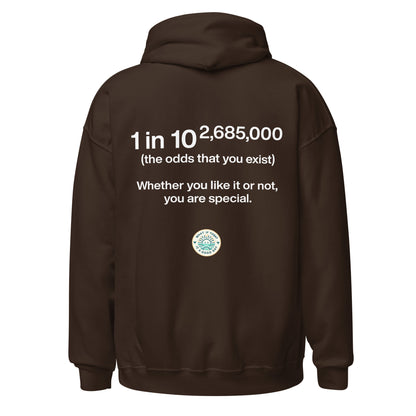 Statistic Hoodie