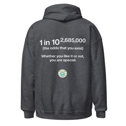 Statistic Hoodie