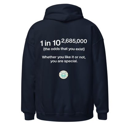 Statistic Hoodie