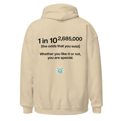 Statistic Hoodie