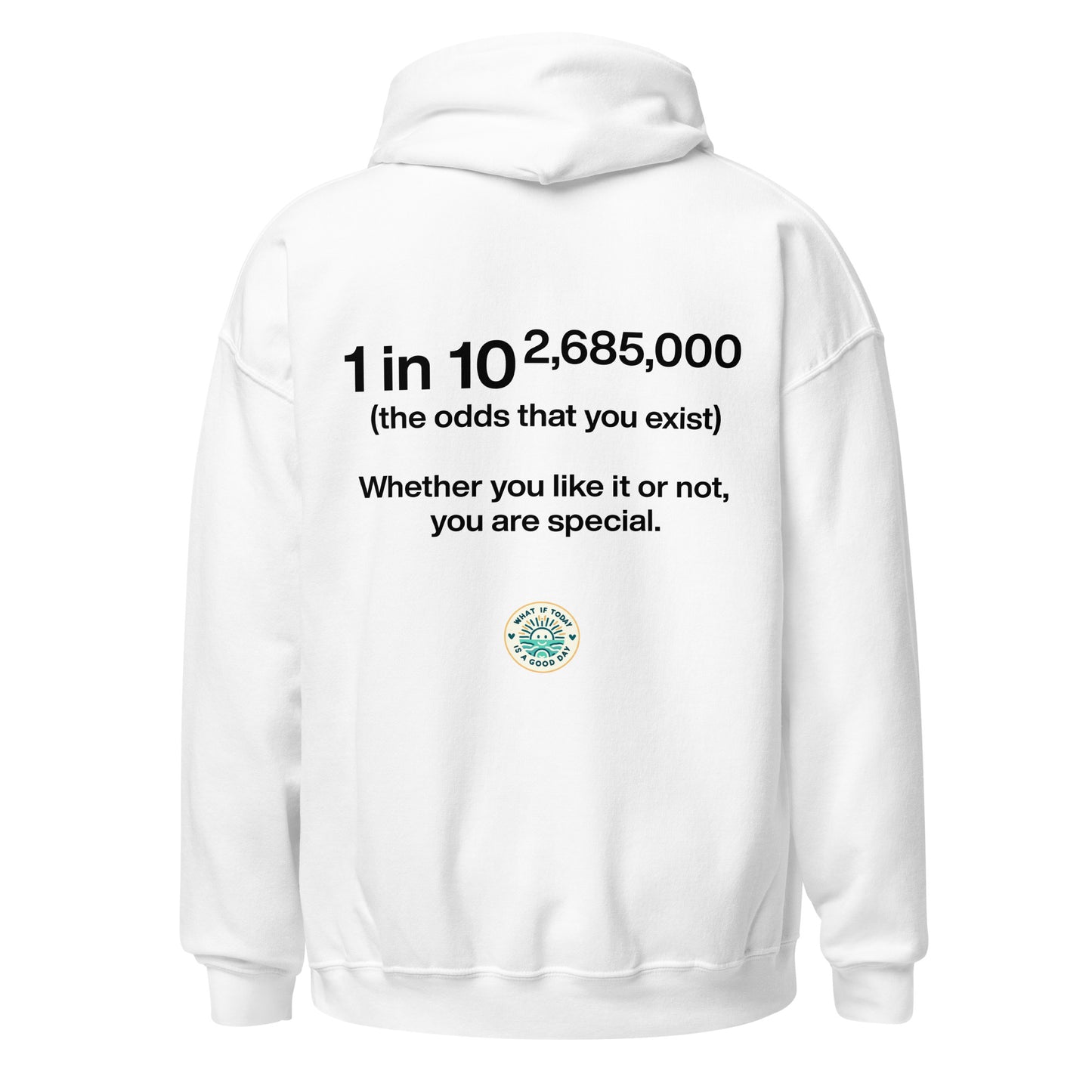 Statistic Hoodie